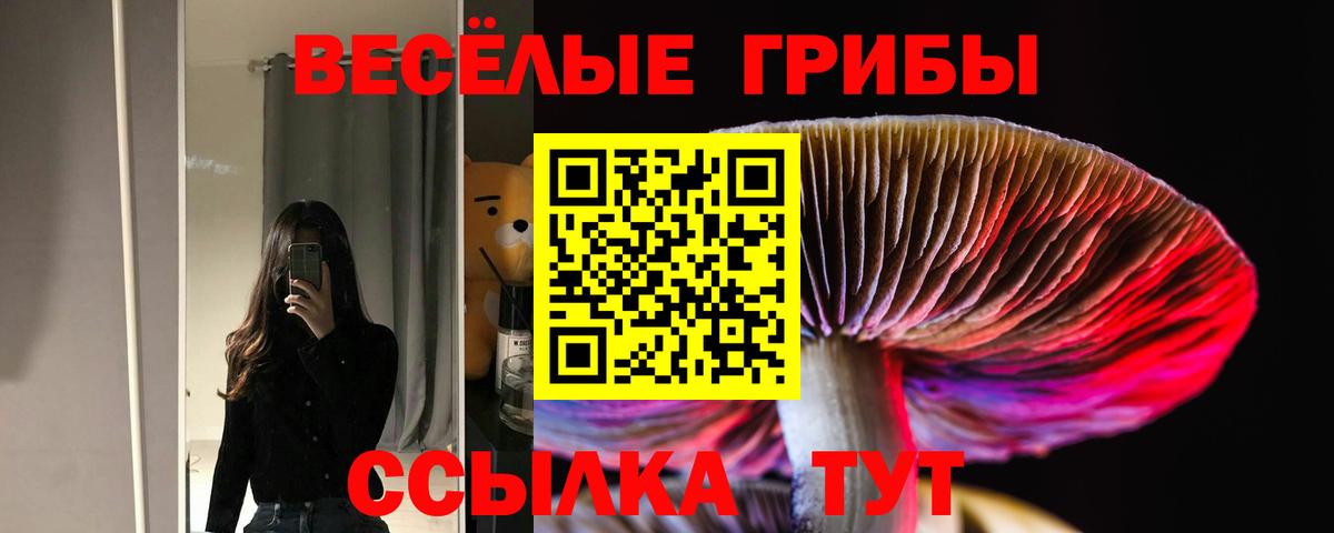 Новокубанск  Галлюциногенные грибы MAGIC MUSHROOMS  Вход с VPN 